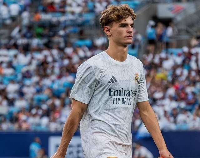 力的选择 力的选择